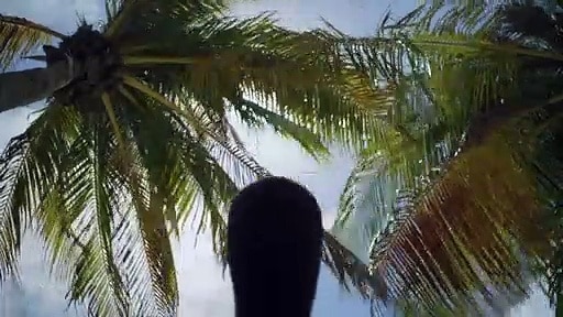 iamamiwhoami; Bande annonce BLEU (film audiovisuel)