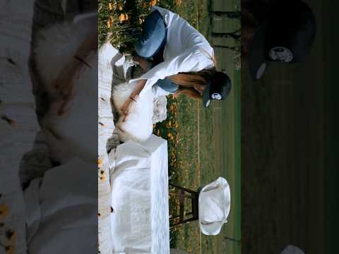 Image youtube